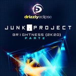 cover: Junk Project - Brightness [2K20]