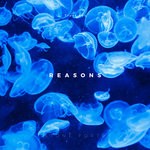 cover: Stone Forte - Reasons