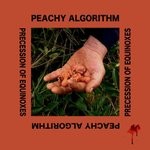 cover: Peachy Algorithm - Precession Of Equinoxes