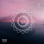 cover: Techu - Illusion