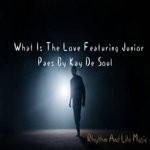 cover: Junior Paes|Kay De Soul - What Is The Love