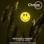 cover: Karada|Pedro Mercado - Mercado & Friends: Lost In Acid