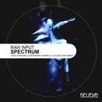 cover: Raw Input - Spectrum EP