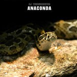 cover: Dj Technodoctor - Anaconda