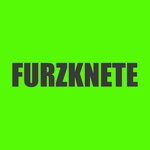 cover: Ehrenmann - Furzknete