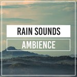 cover: Rain Sounds - Rain Sounds Ambience