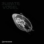 cover: Ruimte Vogel - Chaoks/CLRCK