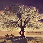 cover: Ben Hurd - Berto Dreaming