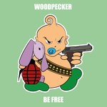 cover: Woodpecker - Be Free