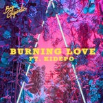 cover: Big Gigantic|Kidepo - Burning Love