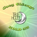 cover: Joey Chicago - Hold On