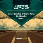 cover: Cucumbers - Ask Yourself