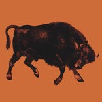 cover: Modern Bison - I Could've Had A Rustic Pagoda