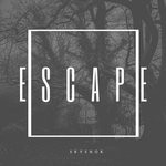 cover: Skyshok - Escape