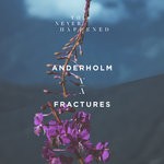 cover: Anderholm - Fractures