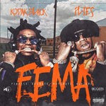 cover: Kodak Black - FEMA (Finesse Elevate Motivate Achieve)