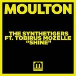 cover: The Synthetigers|Tobirus Mozelle - Shine