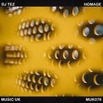 cover: Dj Tez - Homage