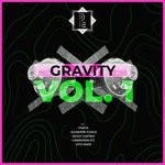 cover: Fanta Dj|Vito Raisi|Unknown (it)|Giuseppe Fusco|Richy Castro - Gravity Vol 1