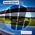 cover: Gotek - Mi Sensi