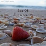 cover: Guy Ben Yakar - Sea Of Strawberries