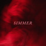 cover: Hayley Williams - Simmer (Explicit)