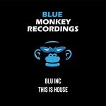 cover: Blu Inc - This Is House