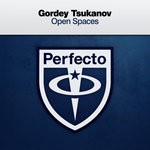 cover: Gordey Tsukanov - Open Spaces (Extended Mix)