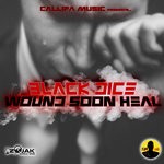 cover: Black Dice - Wound Soon Heal