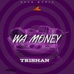 cover: Trishan - Wa Money