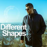 cover: Mr. Pit - Different Shapes