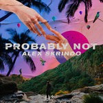 cover: Alex Skrindo - Probably Not