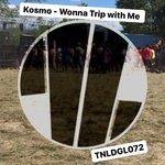 cover: Kosmo - Wonna Trip With Me