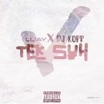 cover: Dj Kopp & Lijay - Tek Suh