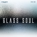 cover: Ronnie Verboom - Glass Soul