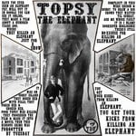 cover: Time Dilation Unit - Topsy The Elephant