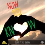 cover: Elliven|Mzs Quanny - Now You Know