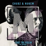 cover: Chubz & Nukem - I Got The Feelin