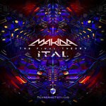 cover: Makida|Ital - The Final Theory