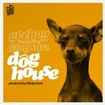 cover: Doug Sure|Gee Bag|Illinformed - Dog House