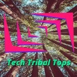 cover: Organic Noise From Ibiza|Supersonic|Glitch Vuu & Terry De Jeff Lizards & Jason Rivas|Bossa Del Chill|Jason's Afro House Connection - Tech Tribal Tops