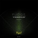 cover: F.u.d.g.e. - If You Believe In Love (Remastered)