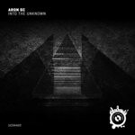 cover: Aron Sc - Into The Unknown