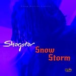 cover: Shaqstar - Snow Storm