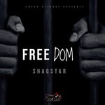 cover: Shaqstar - Freedom