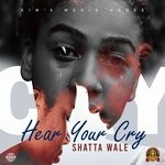 cover: Shatta Wale - Hear Your Cry