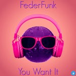 cover: Federfunk - You Want It