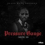 cover: Size 10 - Pressure Gauge