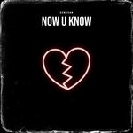 cover: Svniivan - Now U Know