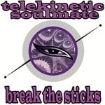 cover: Telekinetic Soulmate - Break The Sticks